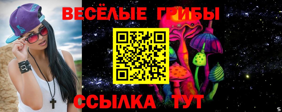 Псилоцибиновые грибы Cubensis Красноярск