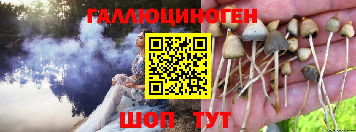 наркошоп  Вход с VPN  Галлюциногенные грибы мицелий  Красноярск  Псилоцибиновые грибы MAGIC MUSHROOMS 
